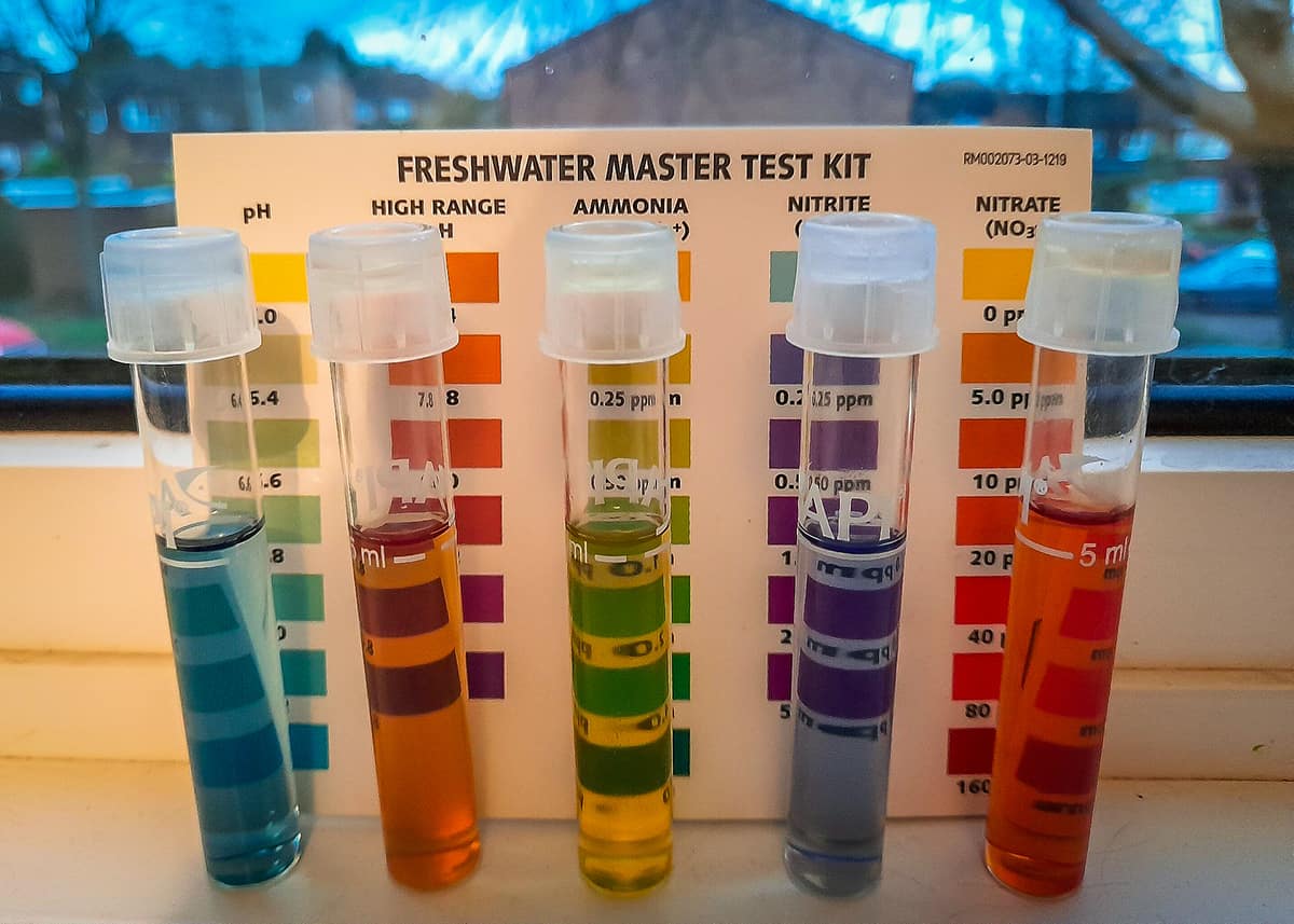 Water Filter Testing How to Test Water Quality with Filters in Johor Bahru - Water Filter ...